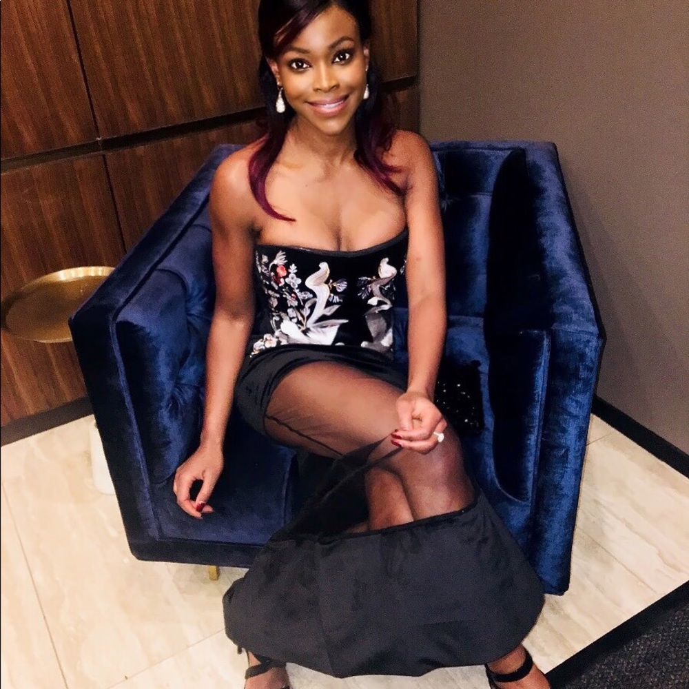 Velvet embroidered dress